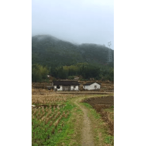 旅行风景2390