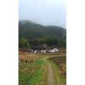 旅行风景2390