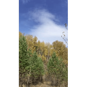 旅行风景2396
