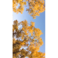 旅行风景2413