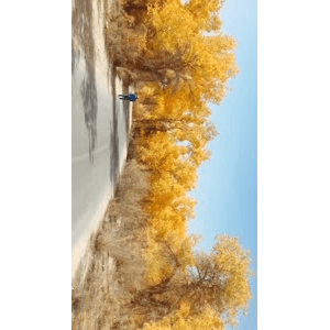 旅行风景2415