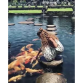 旅行风景2426