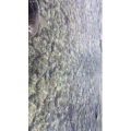 旅行风景2431
