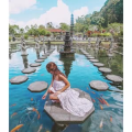 旅行风景2432