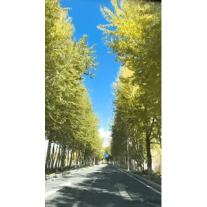 旅行风景2443