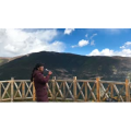 旅行风景2447