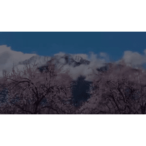 旅行风景2449
