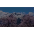 旅行风景2449