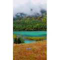 旅行风景2451