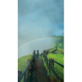 旅行风景2457