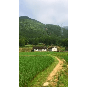 旅行风景2461