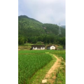 旅行风景2461