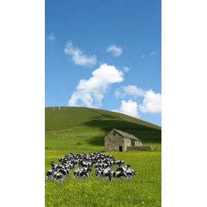 旅行风景2462