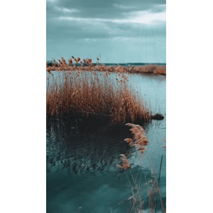 旅行风景2468