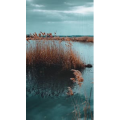 旅行风景2468