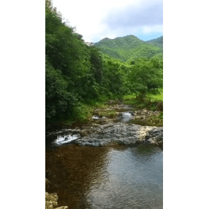 旅行风景2475