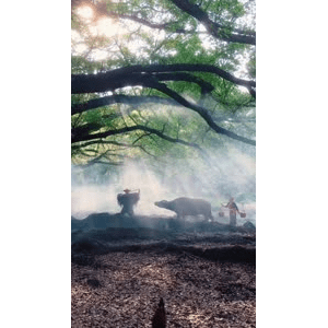 旅行风景2477