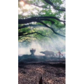 旅行风景2477