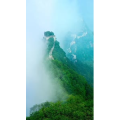 旅行风景2484