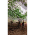 旅行风景2485