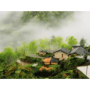 旅行风景2490