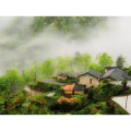 旅行风景2490