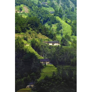 旅行风景2493