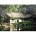 旅行风景2495