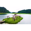 旅行风景2522