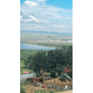 旅行风景2530