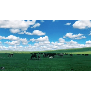 旅行风景2531