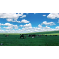 旅行风景2531