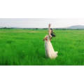 旅行风景2534