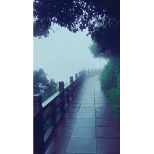 旅行风景2535
