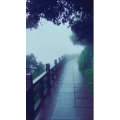 旅行风景2535