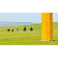 旅行风景2556