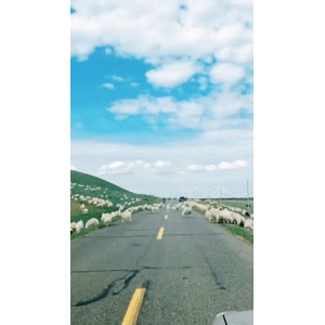 旅行风景2562