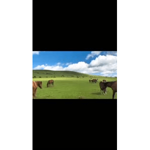 旅行风景2567