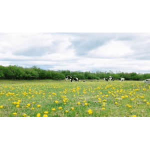 旅行风景2582