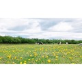 旅行风景2582