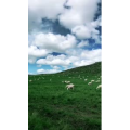 旅行风景2584