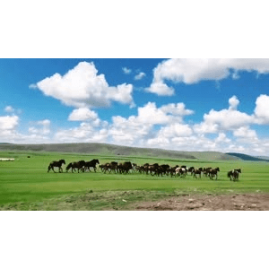 旅行风景2585