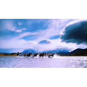 旅行风景2587