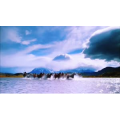 旅行风景2587