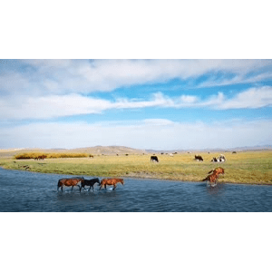 旅行风景2588
