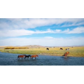 旅行风景2588