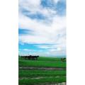 旅行风景2591