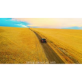 旅行风景2593