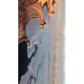 旅行风景2595