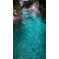 旅行风景2597